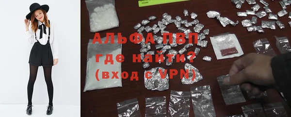 стаф Надым
