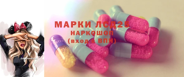 стаф Надым