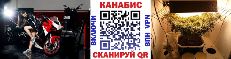 Канабис OG Kush  как найти   Новый Оскол 